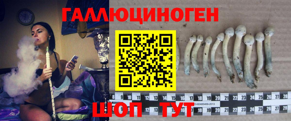 Галлюциногенные грибы ЛСД Рузаевка